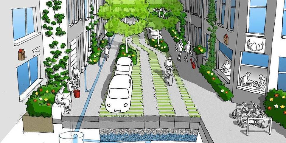 Schets die laat zien hoe een Tuinstraat of een Woonstraat ontworpen kan worden met groen en blauwe voorzieningen